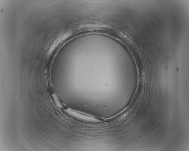 X0000053051261200508081119