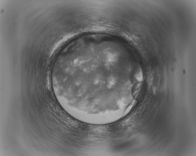 X0000053051262200508081119