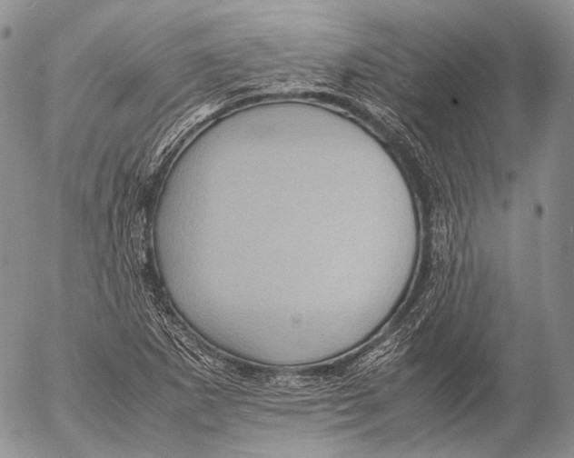 X0000053051265200508081119