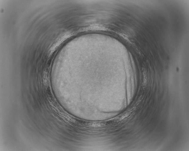 X0000053051266200508081119