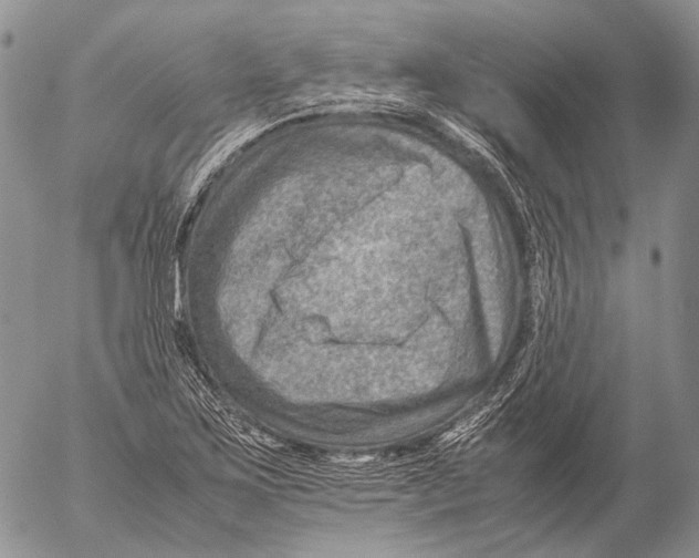 X0000053051267200508081119