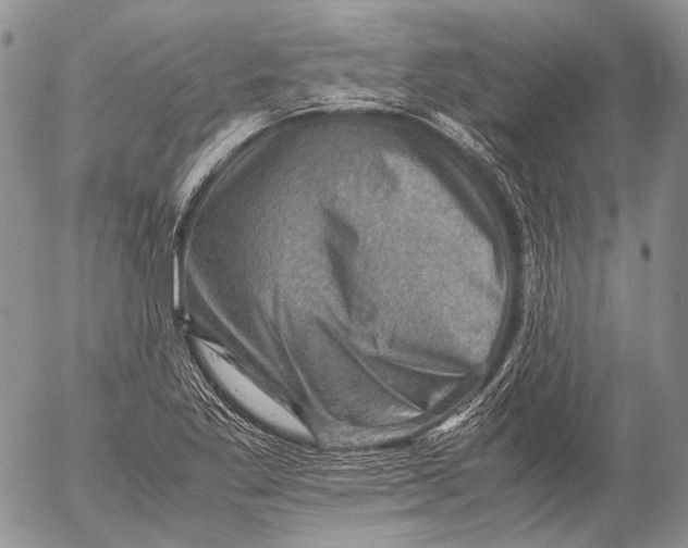 X0000053051269200508081119