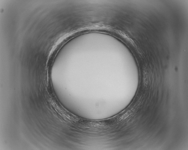 X0000053051270200508081119