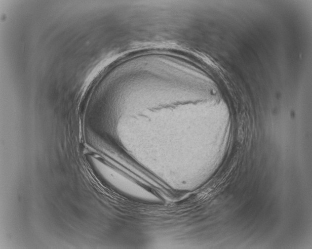 X0000053051271200508081119