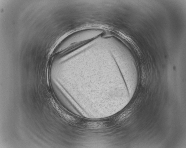 X0000053051272200508081119