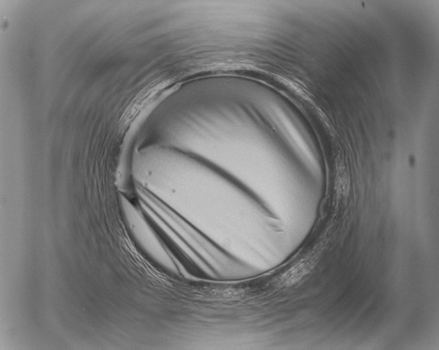 X0000053051273200508081119