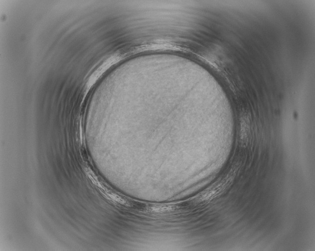 X0000053051274200508081119