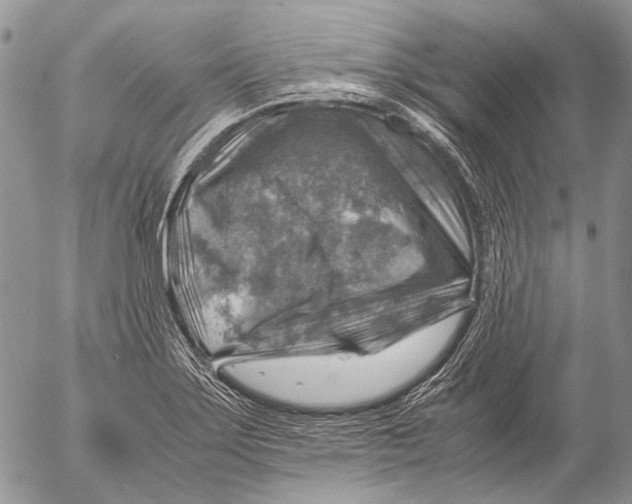 X0000053051275200508081119