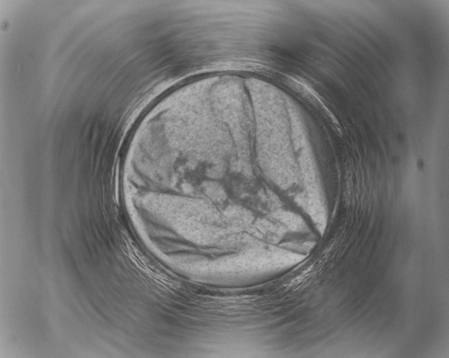 X0000053051276200508081119