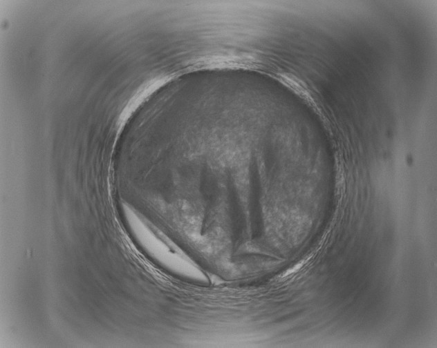 X0000053051277200508081119