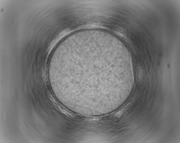 X0000053051278200508081119