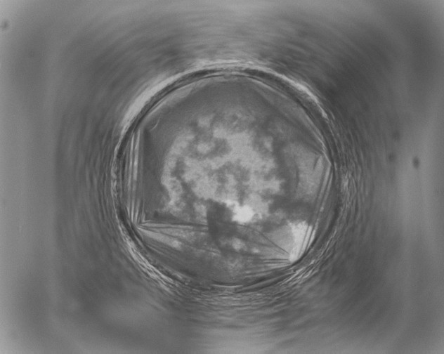 X0000053051279200508081119