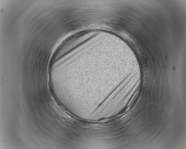 X0000053051280200508081119