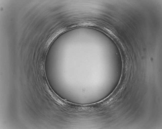 X0000053051281200508081119