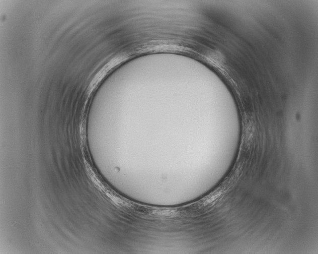 X0000053051282200508081119