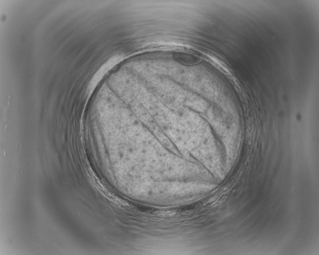 X0000053051283200508081119