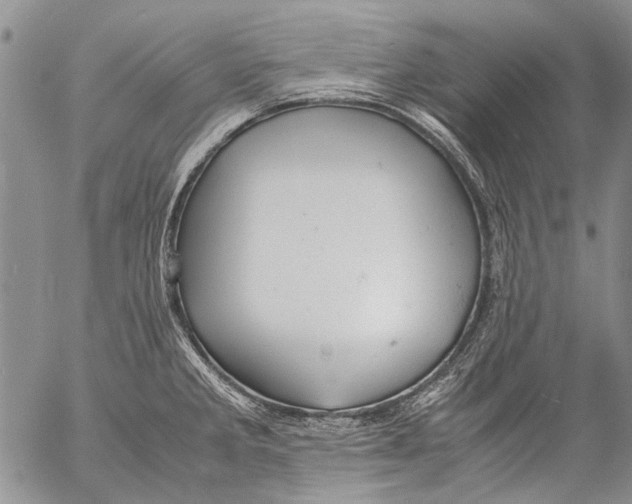 X0000053051285200508081119