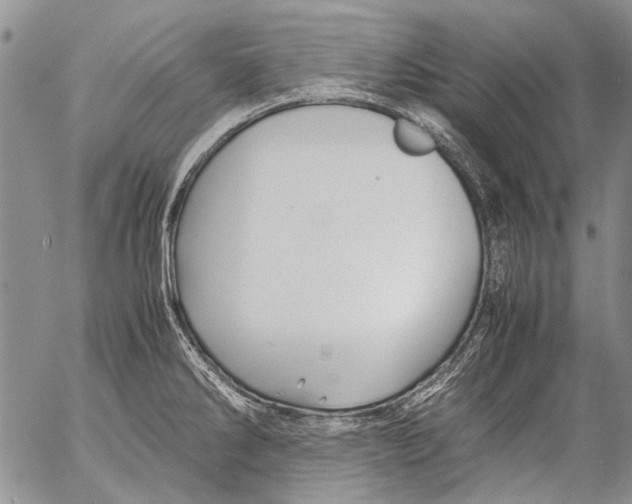 X0000053051286200508081119