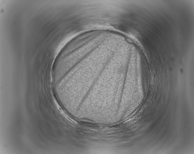 X0000053051287200508081119