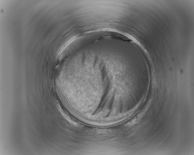 X0000053051289200508081119