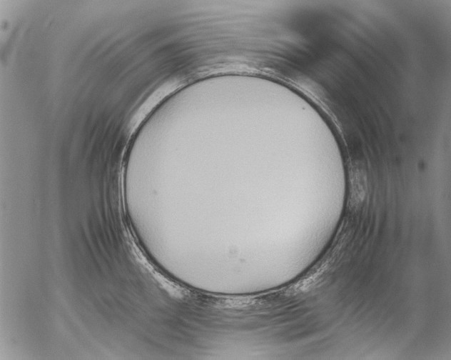 X0000053051290200508081119