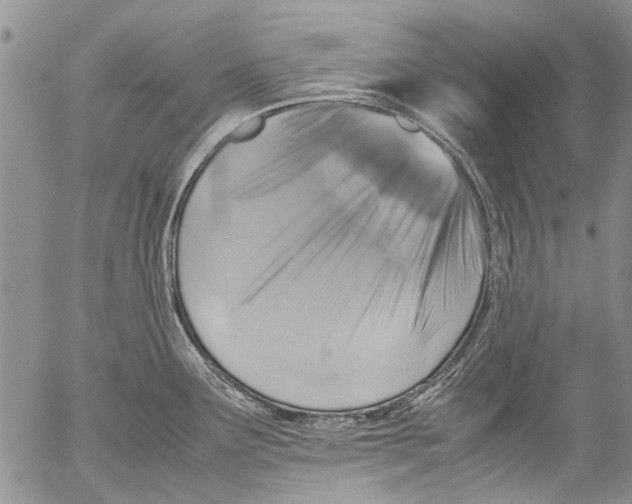 X0000053051291200508081119