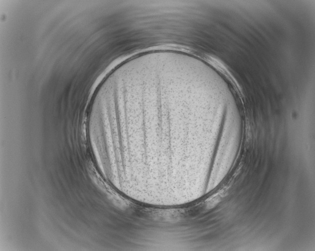 X0000053051292200508081119