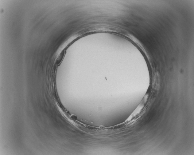 X0000053051293200508081119