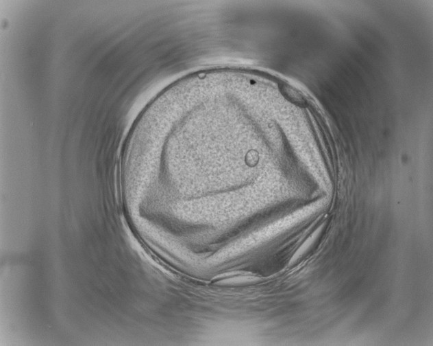 X0000053051295200508081119