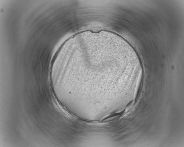 X0000053051296200508081119