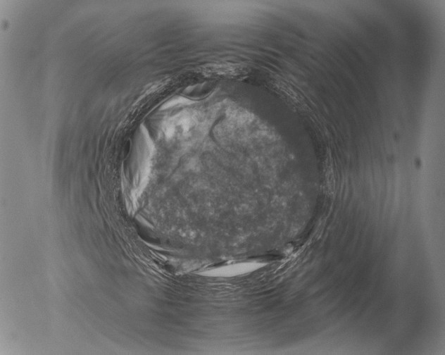 X0000053051297200508081118