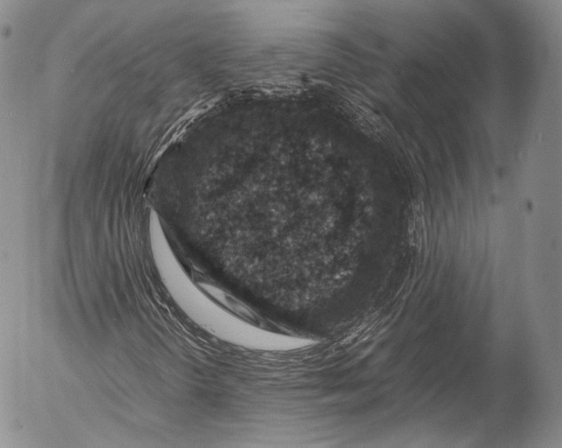 X0000053051298200508081118