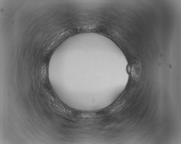 X0000053051299200508081118