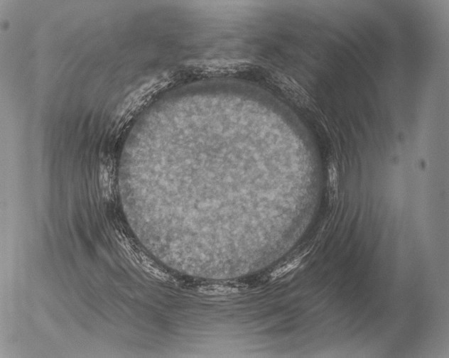 X0000053051300200508081118