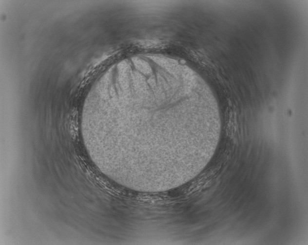 X0000053051301200508081118