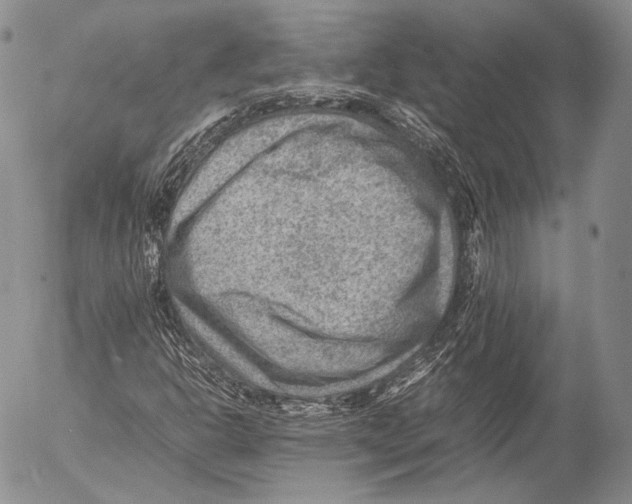 X0000053051302200508081118