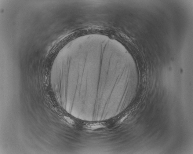 X0000053051303200508081118