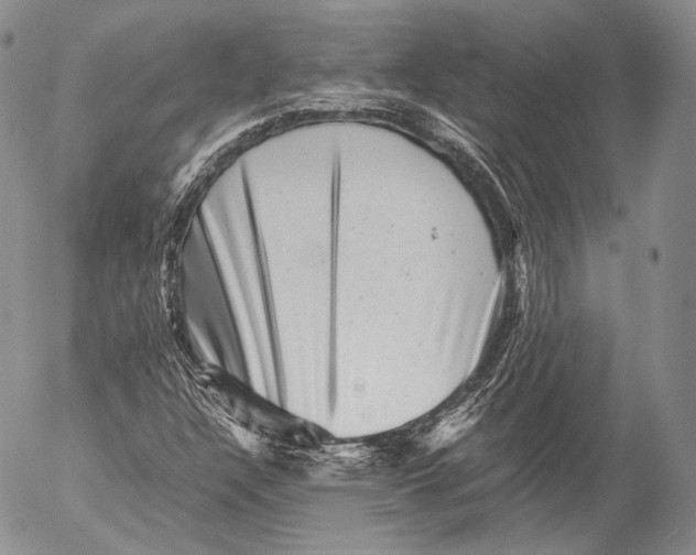 X0000053051304200508081118