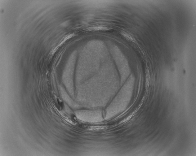 X0000053051305200508081118