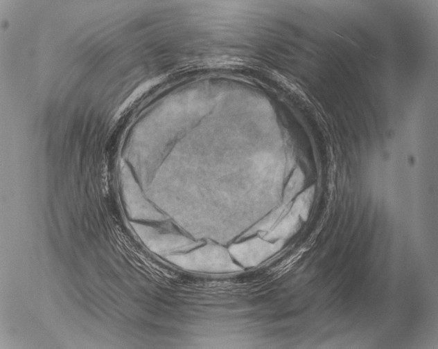 X0000053051306200508081118