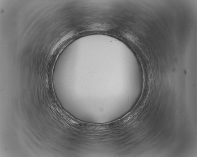 X0000053051307200508081118