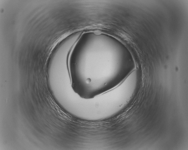 X0000053051308200508081118