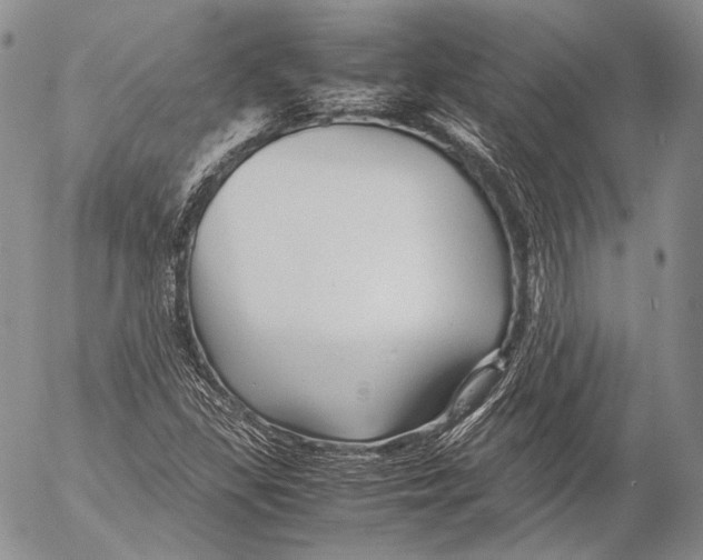 X0000053051309200508081118