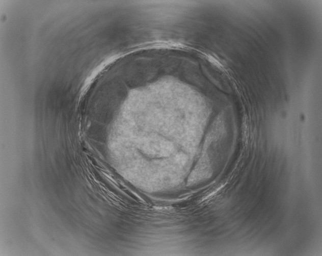 X0000053051310200508081118