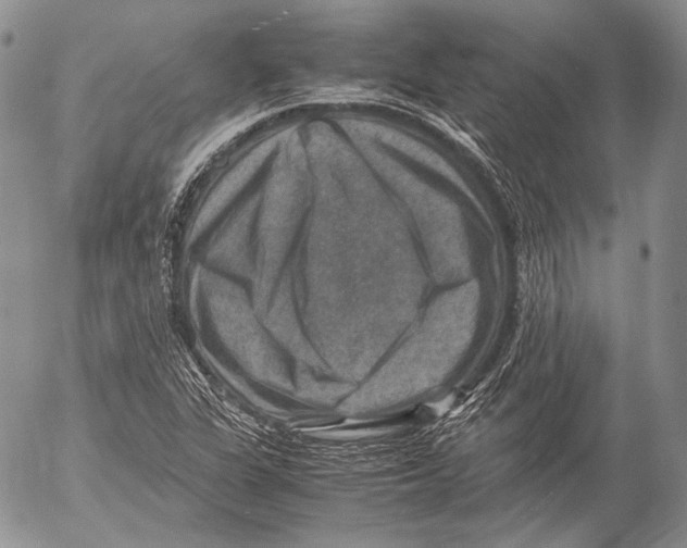 X0000053051311200508081118