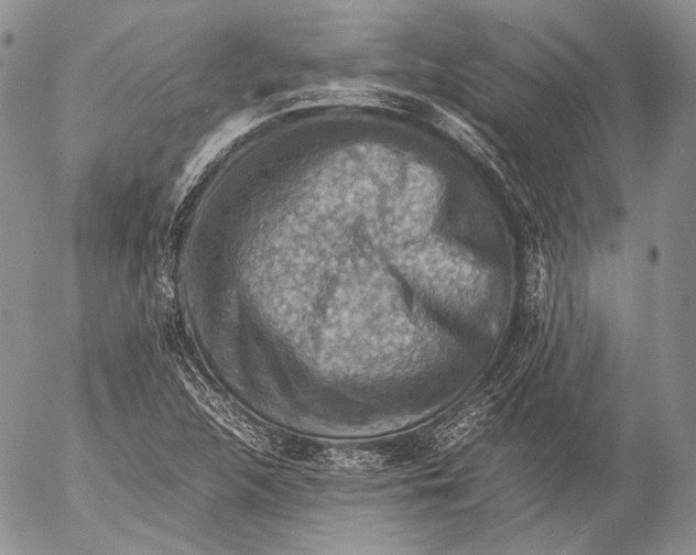 X0000053051312200508081118