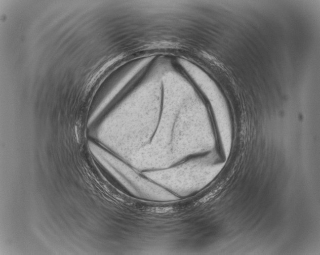 X0000053051313200508081118