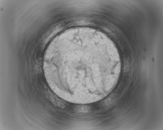 X0000053051314200508081118