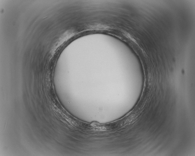 X0000053051315200508081118