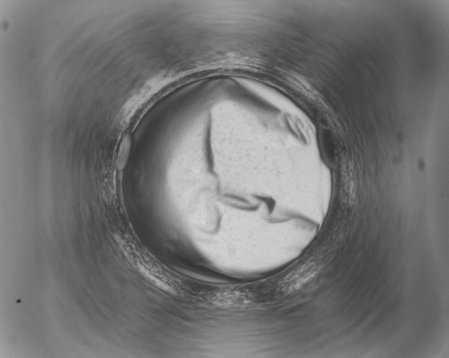 X0000053051316200508081118